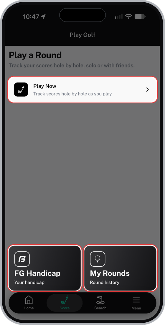 Play Golf screen with Play Now, FG Handicap and My Rounds highlighted
